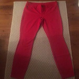 Express cotton spandex pants
